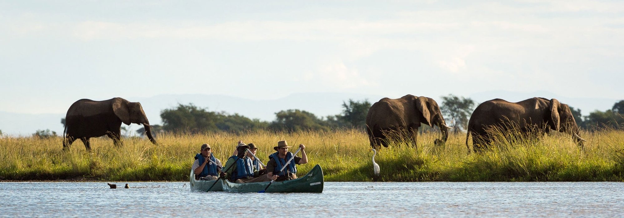 Canoe safari 