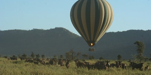 Balloon over the Serengeti