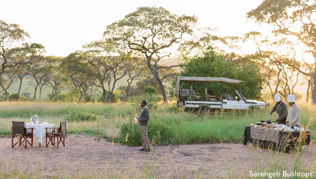 Serengeti Bushtops Bush Breakfast