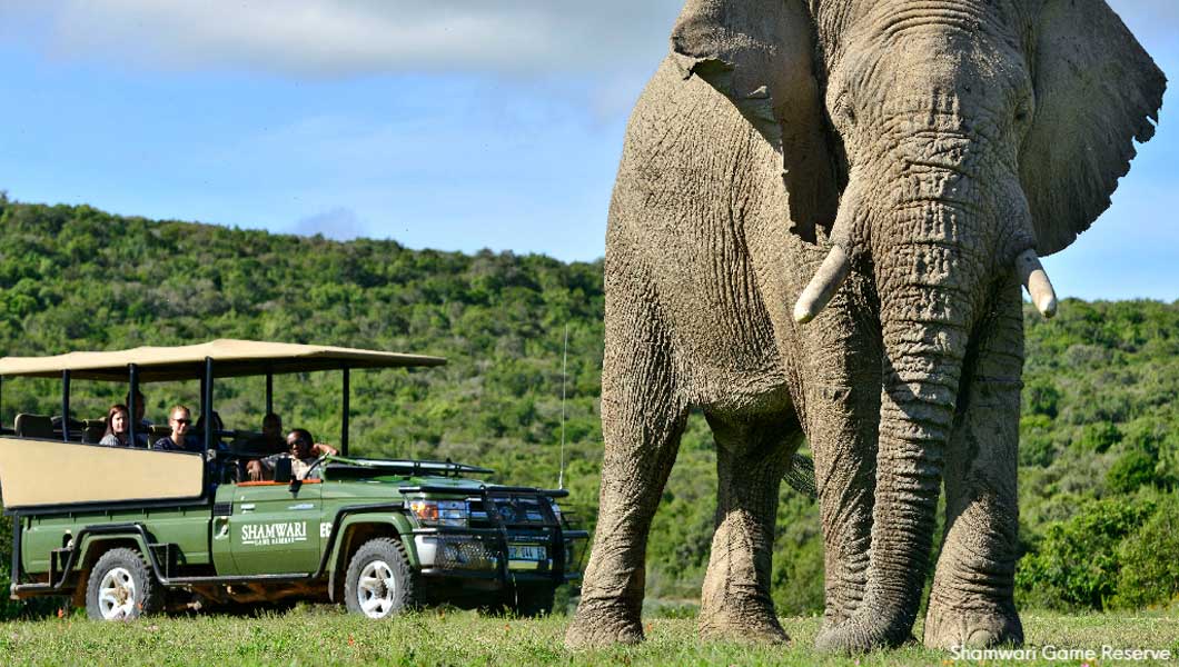 Shamwari Safari Vehicle