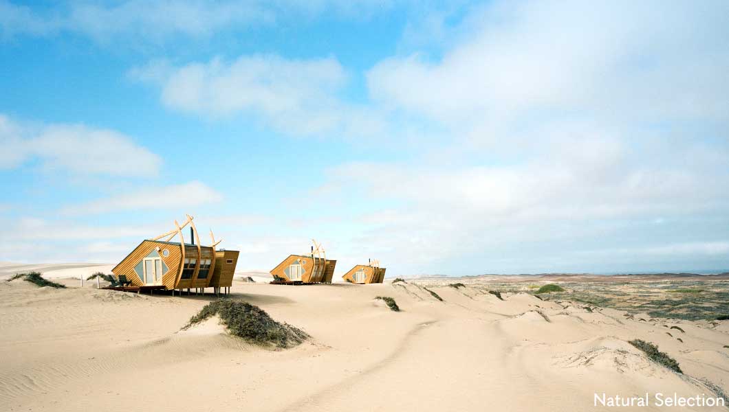 Shipwreck Lodge