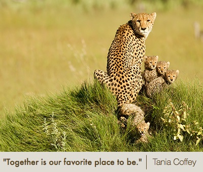 Tania Coffey Cheetahs