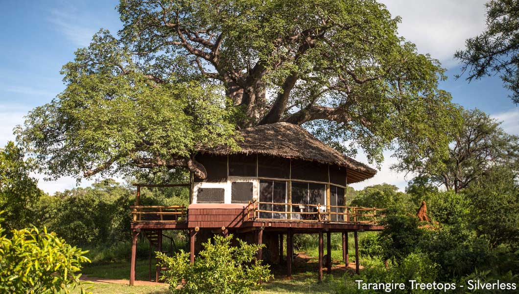 Tarangire Treetops