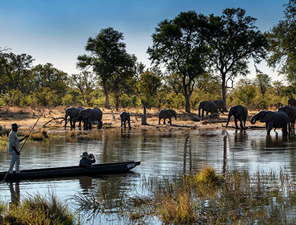 lion world travel botswana experience