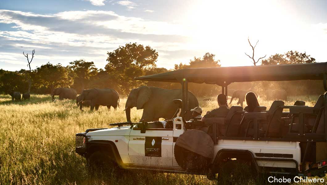 Chobe Chilwero Gamedrive