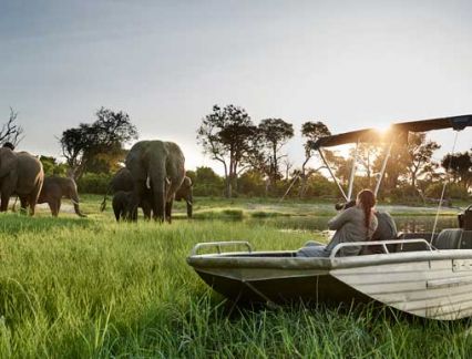 africa safaris 2024