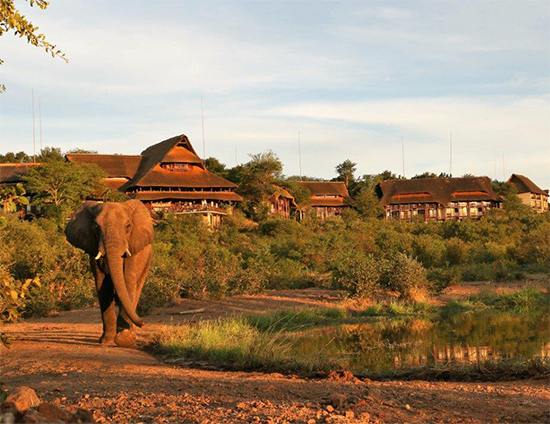 VFSL Exterior with Elephant