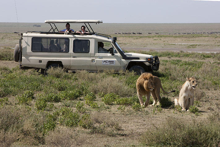 vehicle with lions 