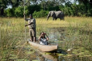 Mokoro Ride, Okavango Delta