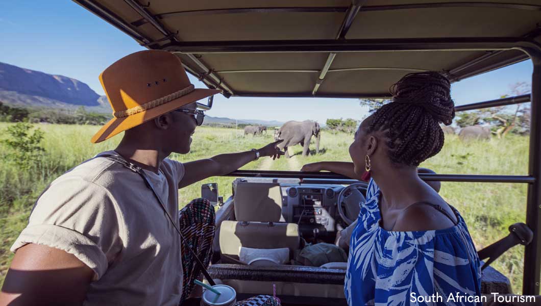 Elephant Spotting on Safari