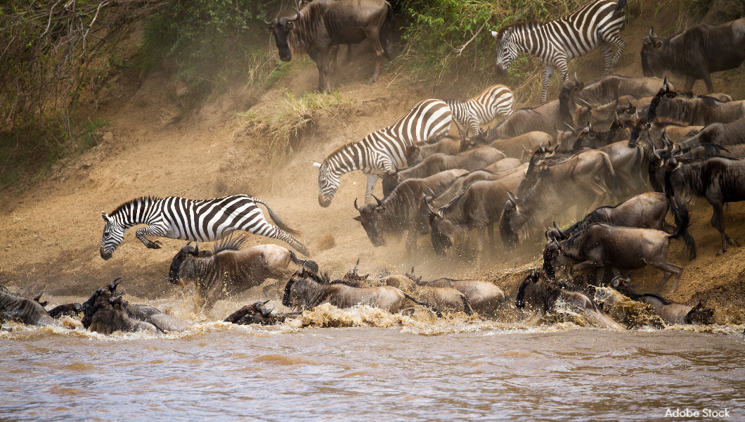 Tanzania Migration