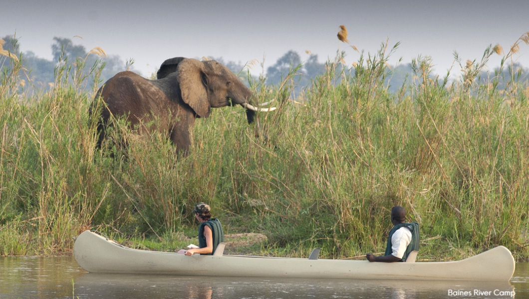 Canoe on Lower Zambezi