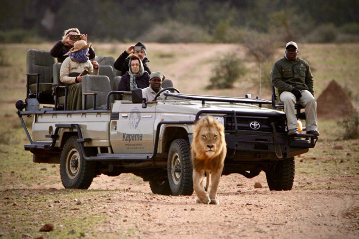 Game Drive at Kapama