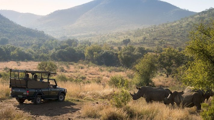 A safari in Bakubung 