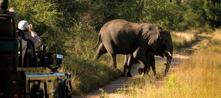 Game Drive at Lion Sands