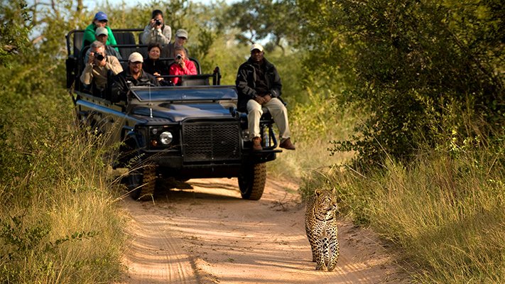 Safari at Lion Sands