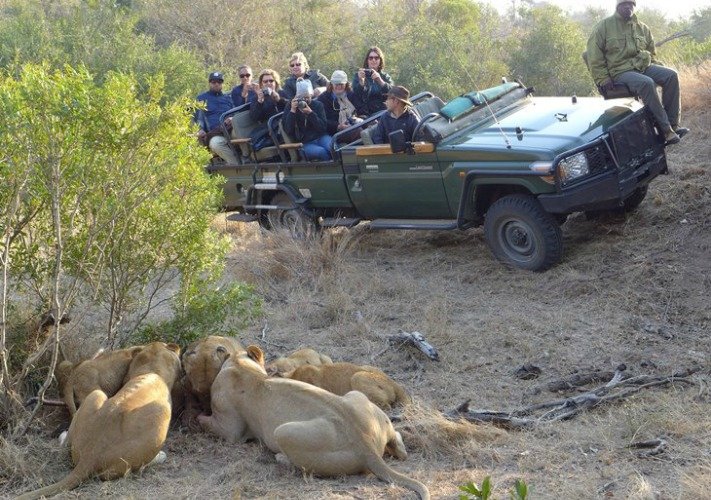 On safari in Thornybush Game Reserve