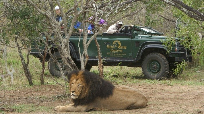 Game Drive at Kapama