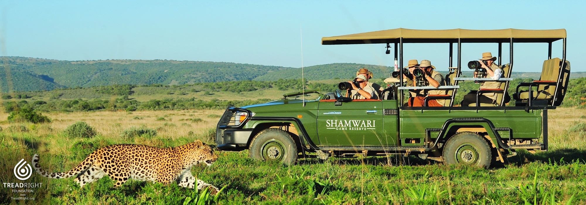 A safari at Shamwari