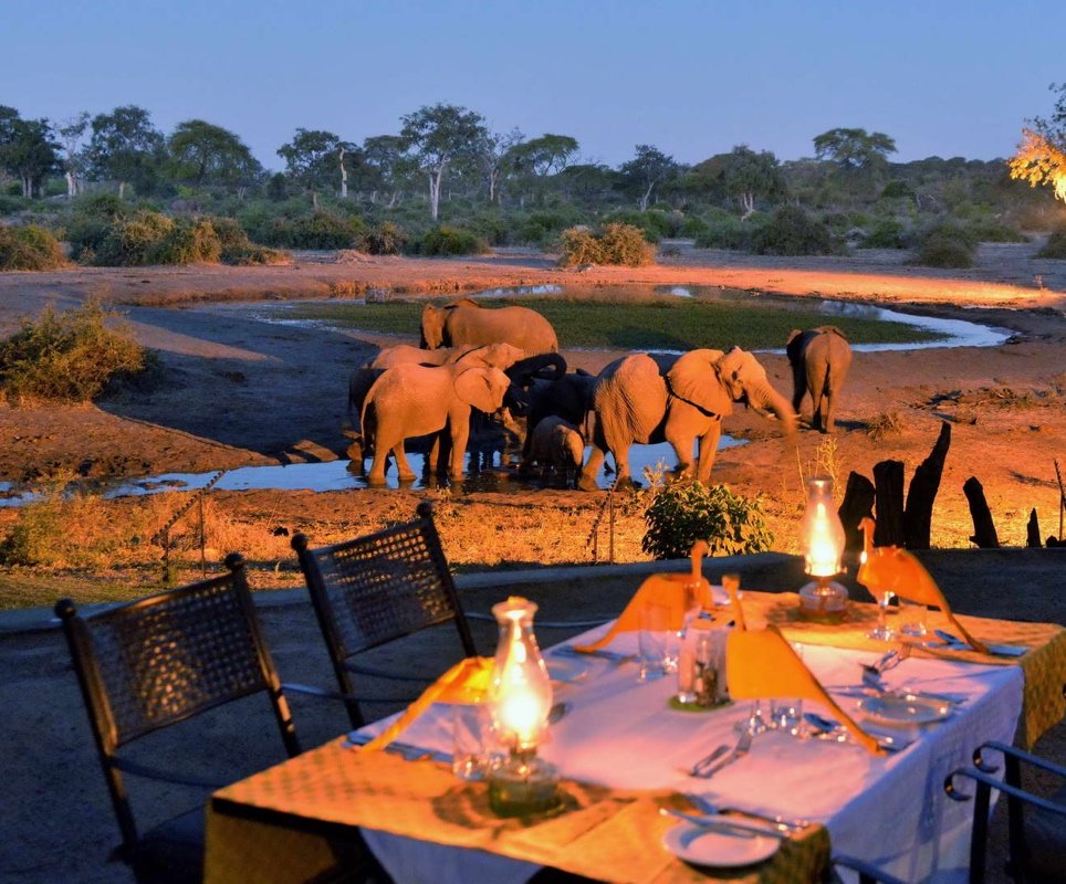 Elephants at Elephant Valley Lodge