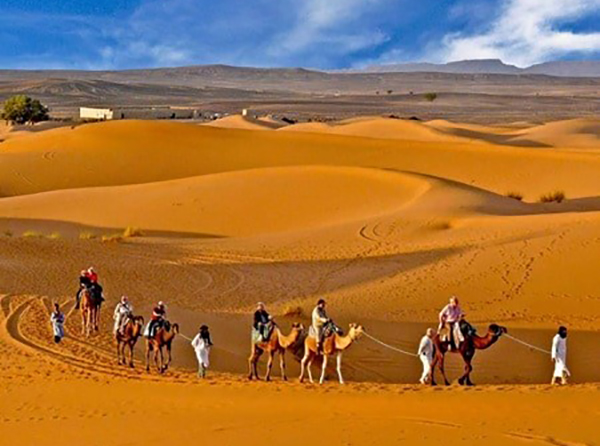 Best of Morocco