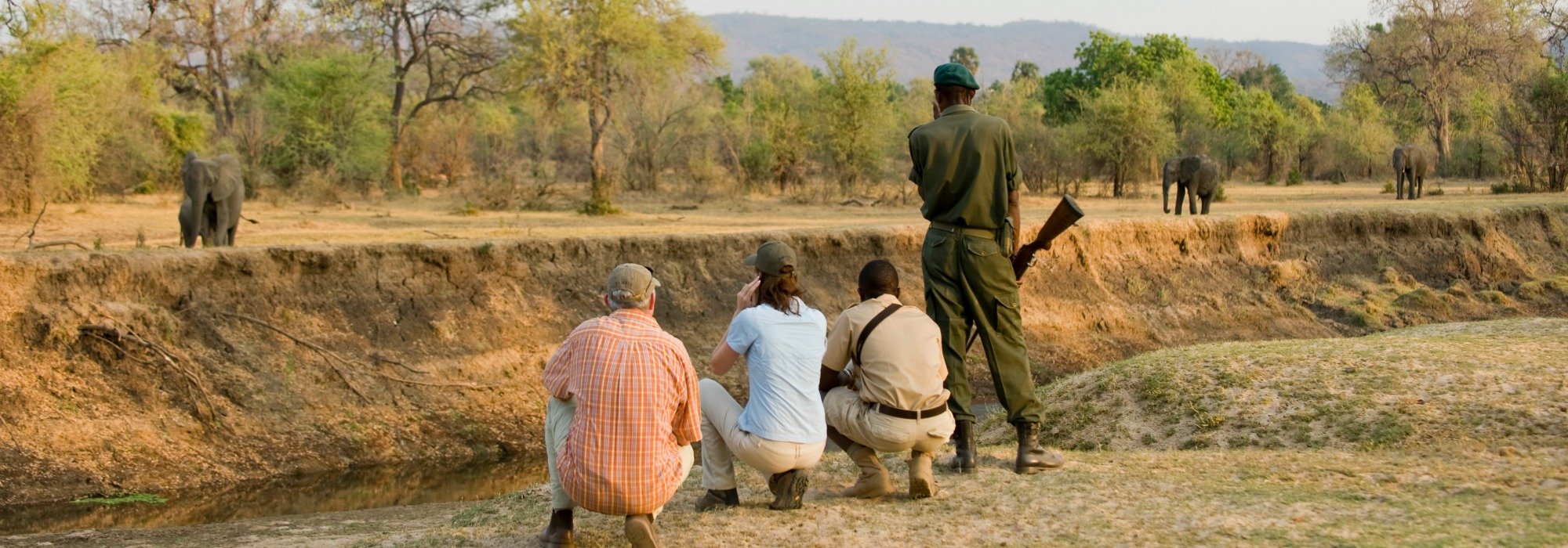 zambia safari camp wildlife walking plains travel info zebra admire falls victoria lion lionworldtravel