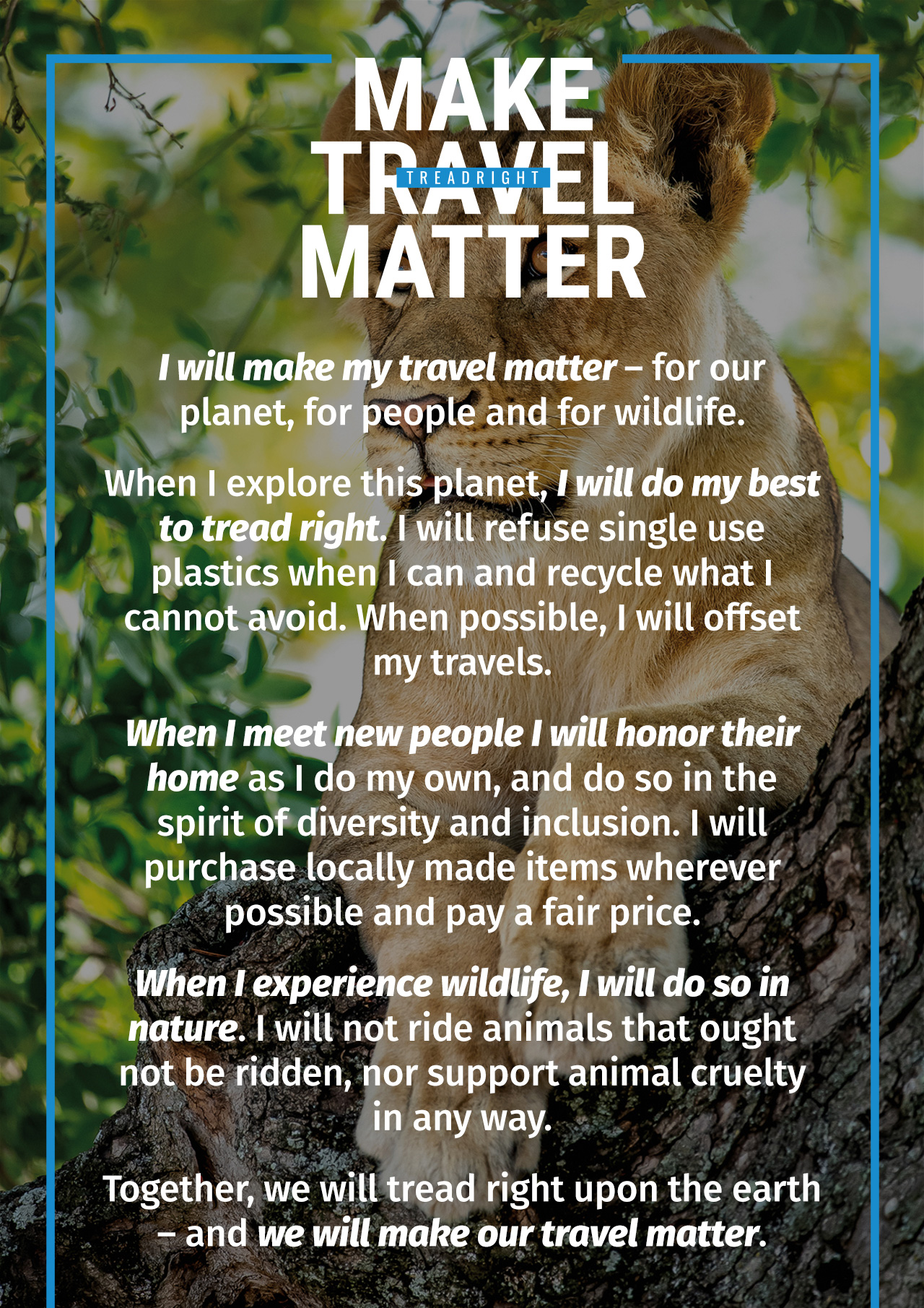 Make Travel Matter Lion World Travel