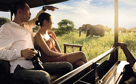 African Dream Honeymoon