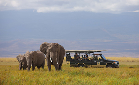 East Africa SkySafari