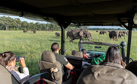 Experience Kenya - Game Drive