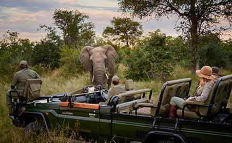 The Royal Treatment - Game Drive