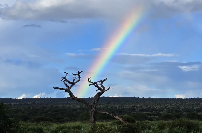 Rainbow shining over the Serengeti