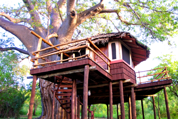 Tarangire Treetops Room