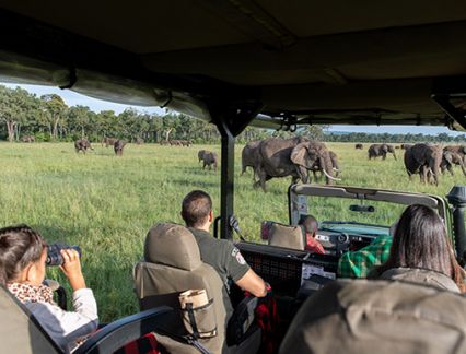 Experience Kenya - Game Drive