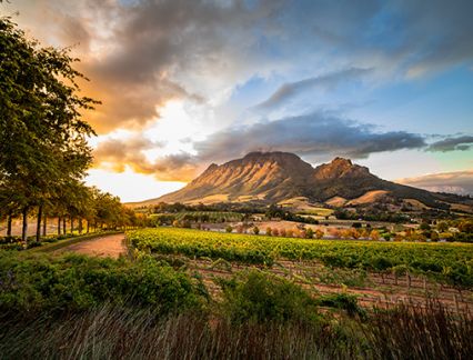 Luxury South Africa - Winelands