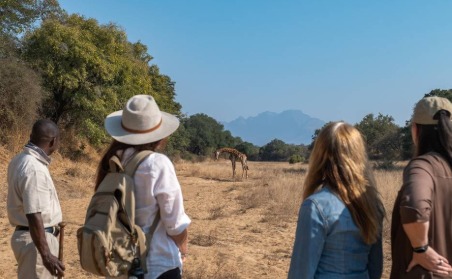 Walking Safari in South Africa.