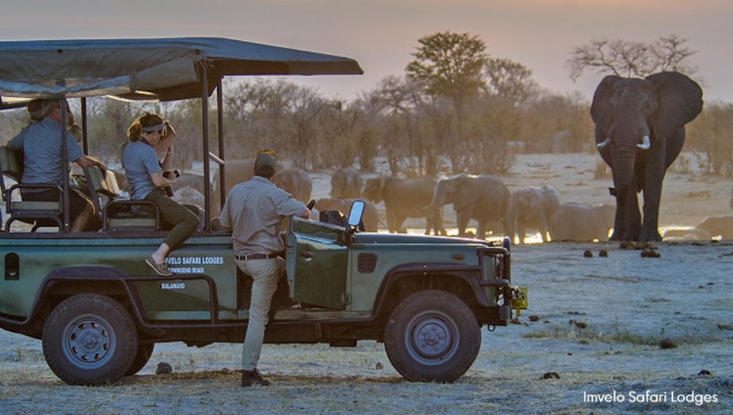 Best of Zimbabwe - Nehimba Game Drive