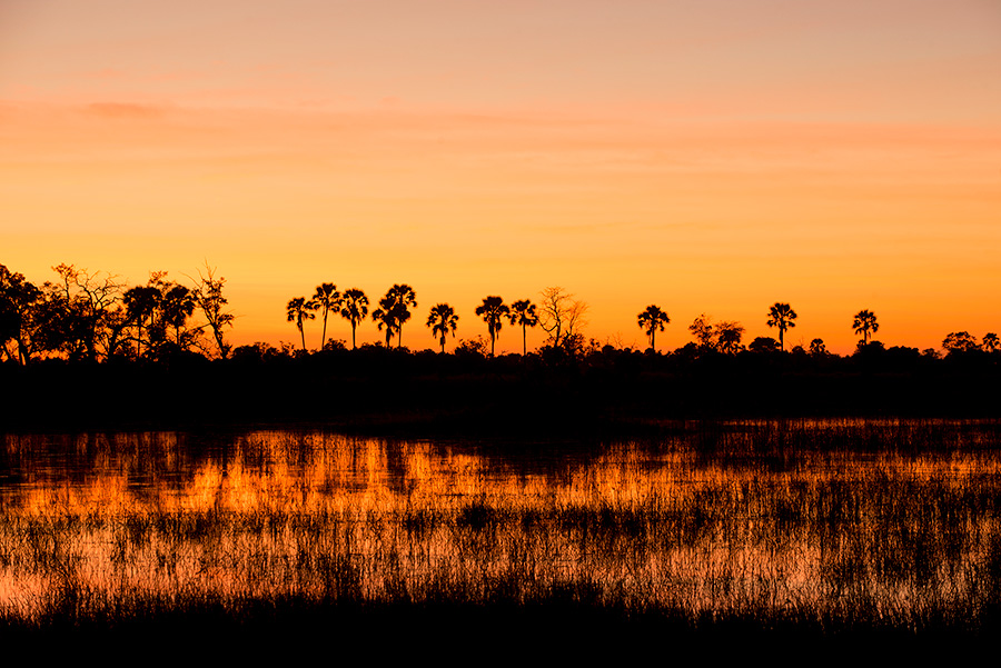 Botswana Sunset at Nxabega Tented Safari Camp in the Okavango Delta
