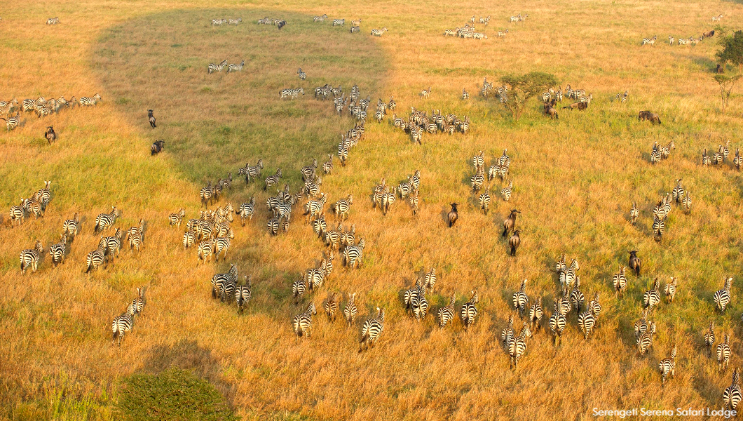 Balloon-Safaris Balloon-Safaris