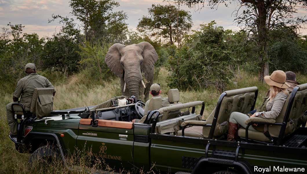 The Royal Treatment - Royal Malewane The Royal Treatment - Royal Malewane