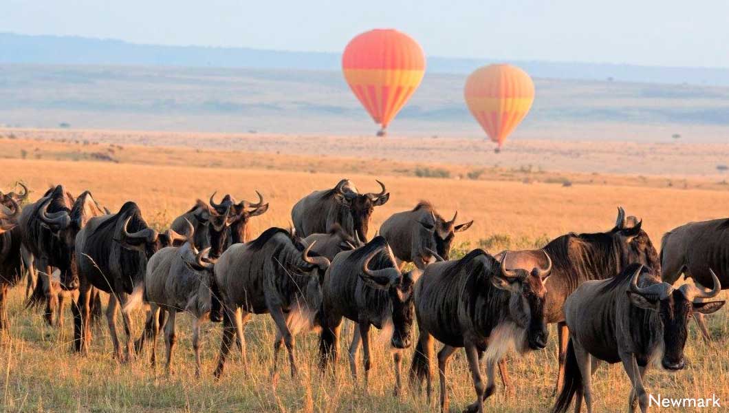 Hot Air Balloon in the Serengeti