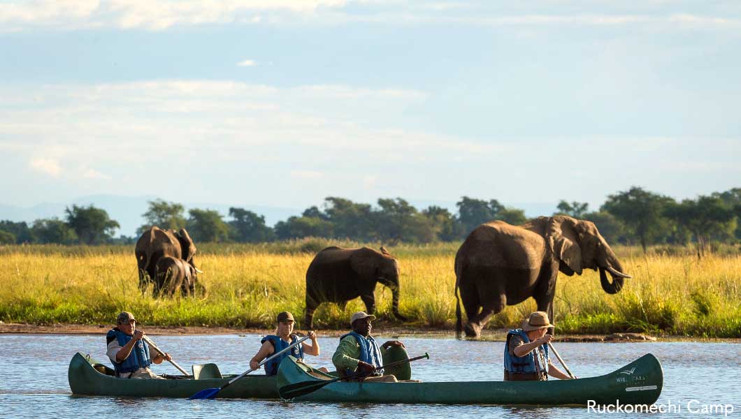Canoe at Ruckomechi with Elephants