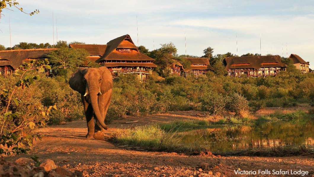 Victoria Falls Safari Lodge